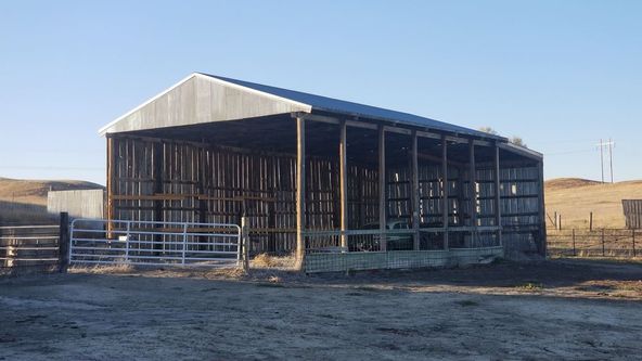 Montana Dream Property With Unlimited Options on 48+ Acres In Sidney: 12353 County Rd 348, Sidney, MT 59270